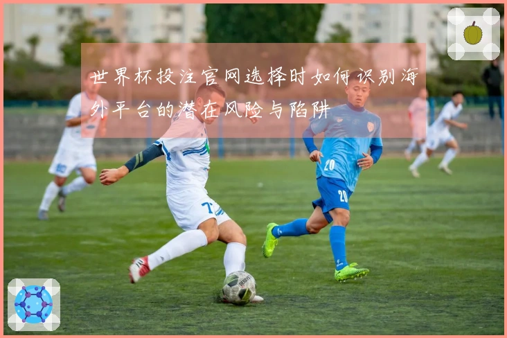 世界杯投注官网选择时如何识别海外平台的潜在风险与陷阱