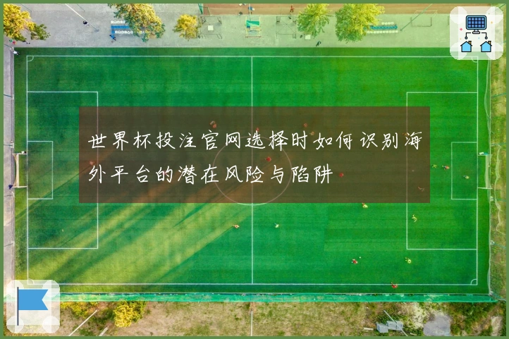 世界杯投注官网选择时如何识别海外平台的潜在风险与陷阱