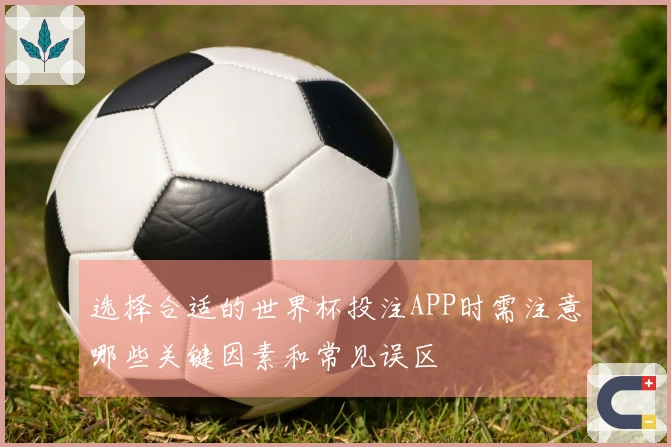 选择合适的世界杯投注APP时需注意哪些关键因素和常见误区